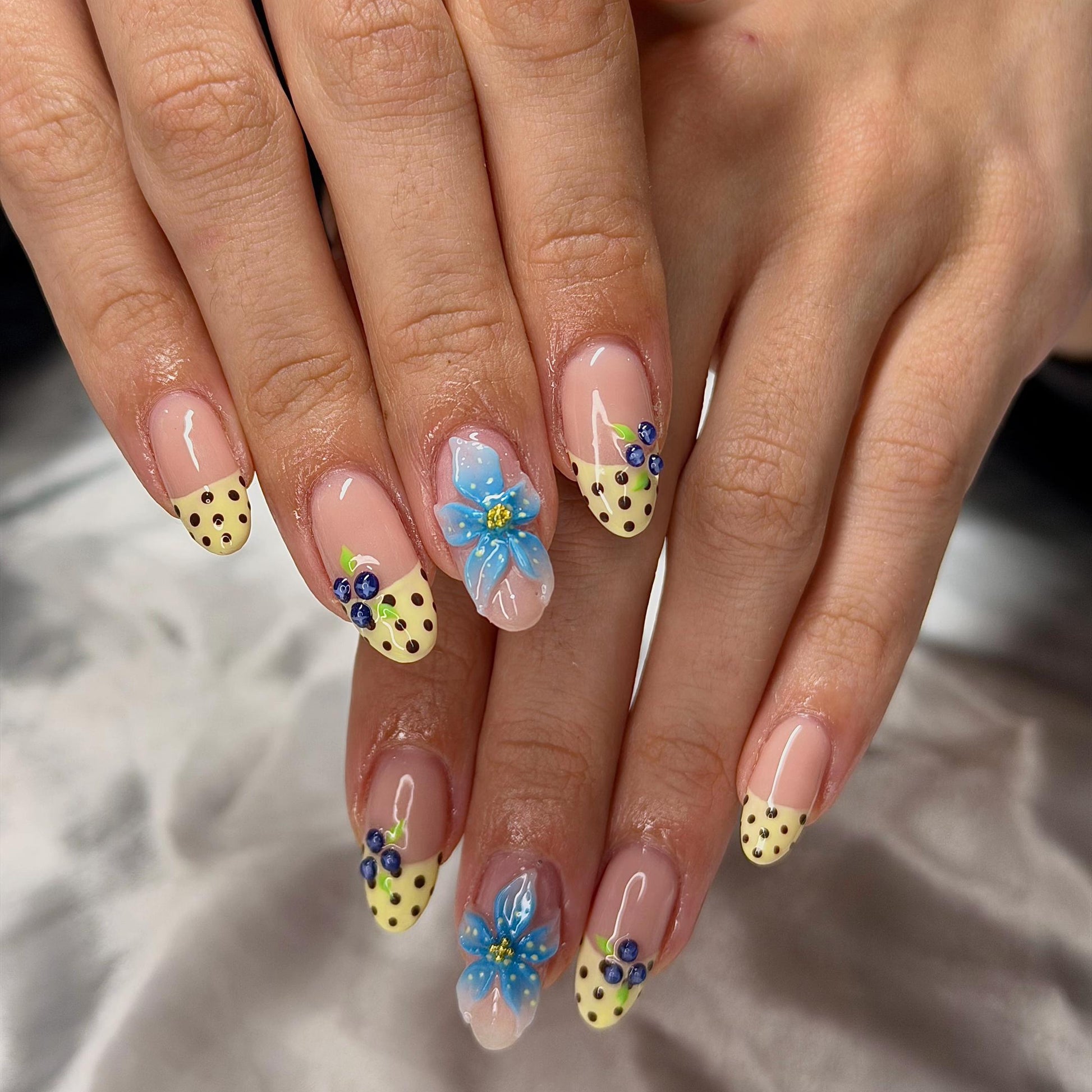 blueberry-fruit-nails-press-on